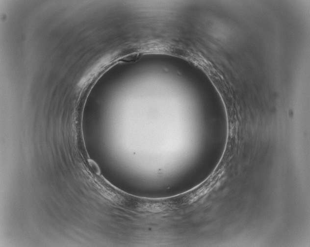 X0000067950341200604171441