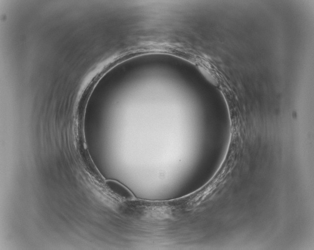 X0000067950342200604171441