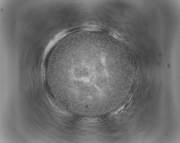 X0000067950343200604171441