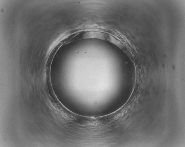 X0000067950344200604171441