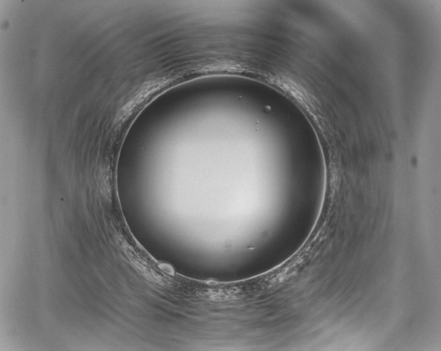 X0000067950345200604171441