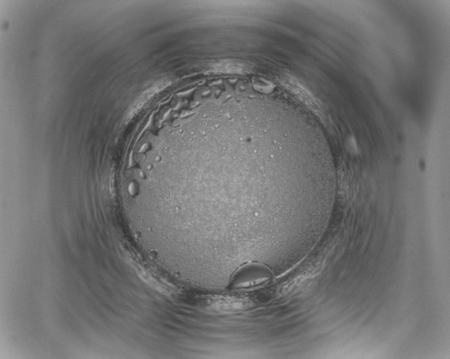 X0000067950347200604171441