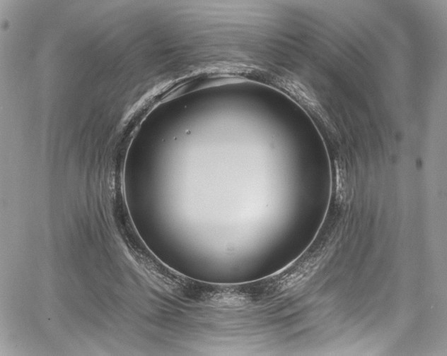 X0000067950348200604171441