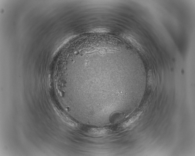 X0000067950351200604171441