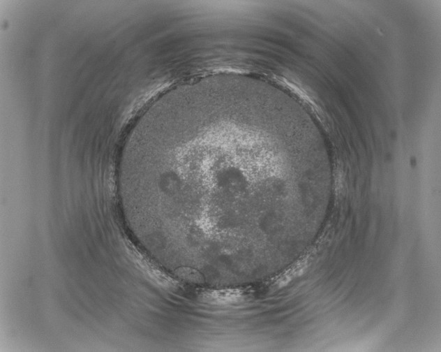 X0000067950353200604171441