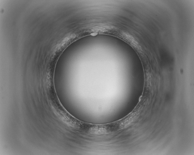 X0000067950354200604171441