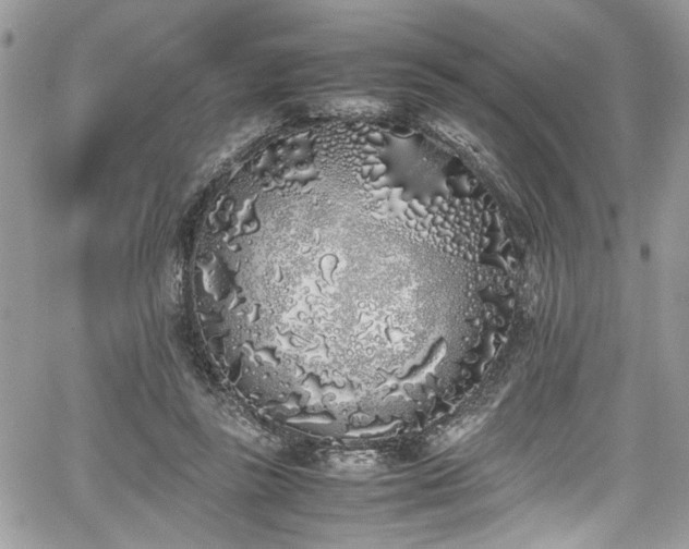 X0000067950355200604171441