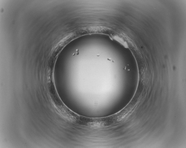 X0000067950356200604171441