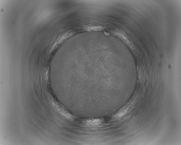 X0000067950357200604171441