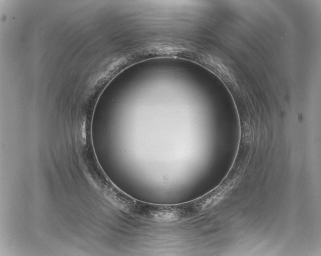 X0000067950358200604171441