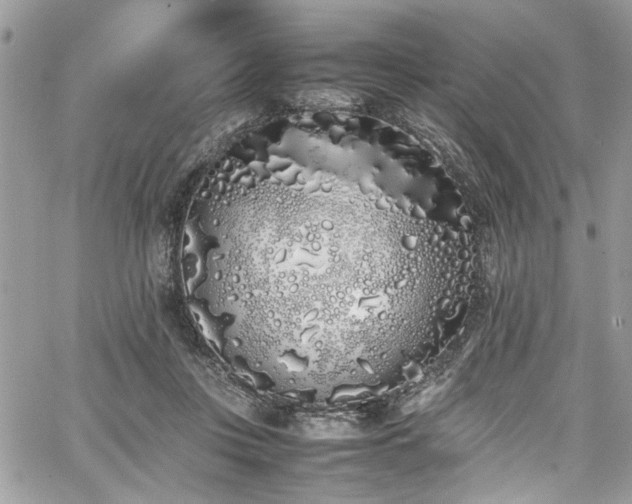 X0000067950359200604171441