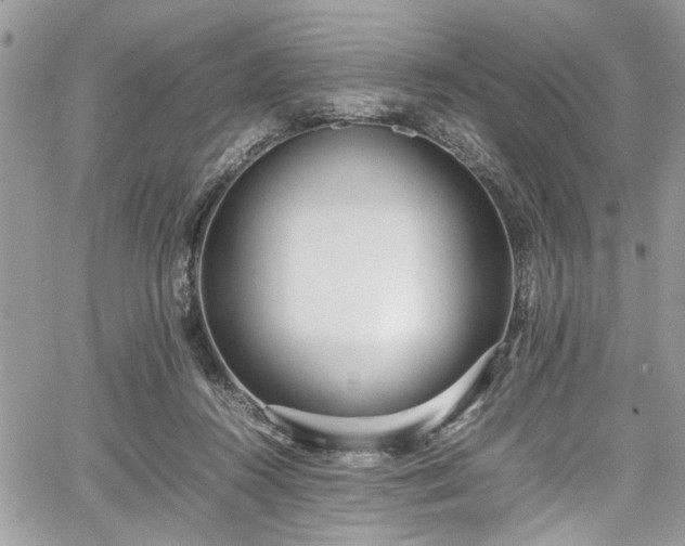 X0000067950360200604171441