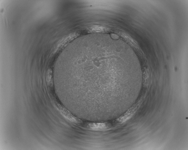 X0000067950361200604171441