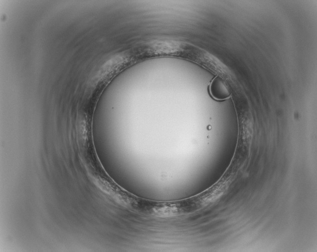 X0000067950362200604171441