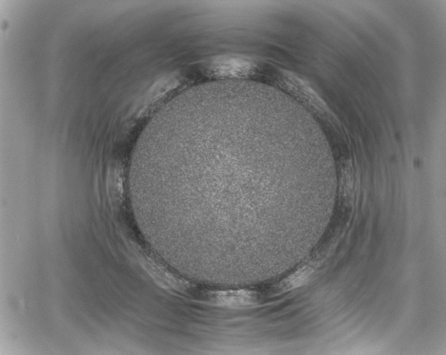 X0000067950363200604171441