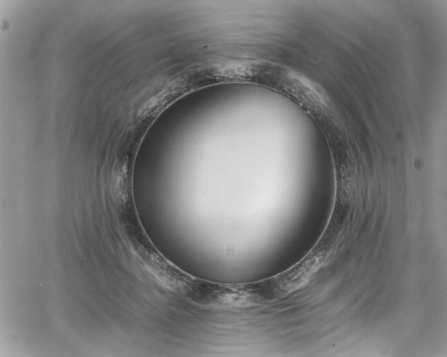 X0000067950364200604171441