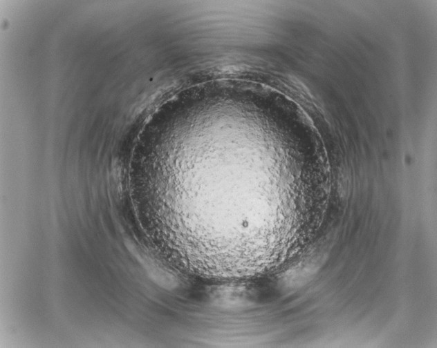 X0000067950366200604171441