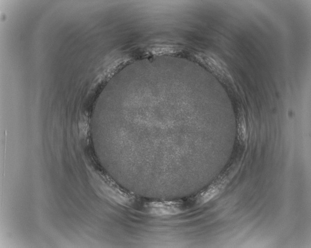 X0000067950367200604171441