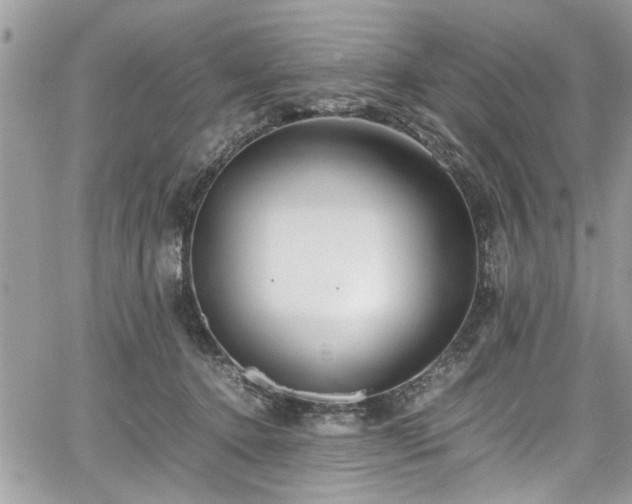 X0000067950368200604171441