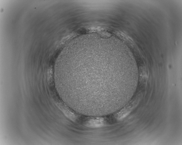 X0000067950369200604171441