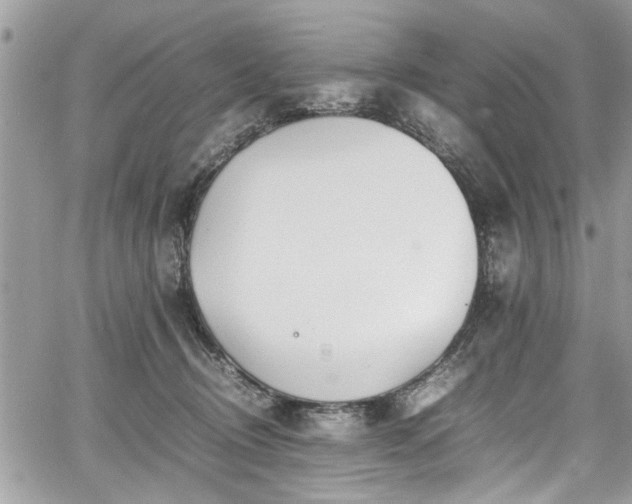 X0000067950370200604171441