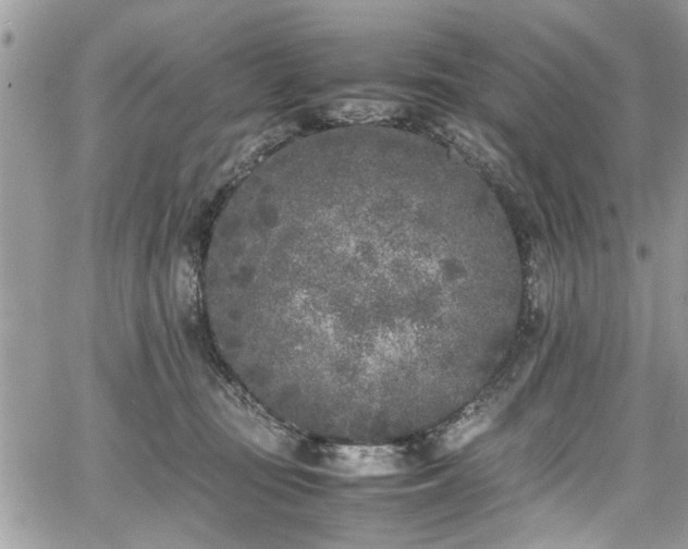 X0000067950371200604171441