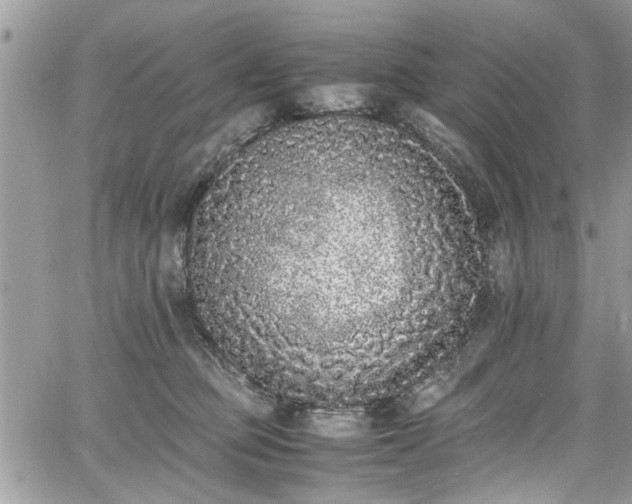 X0000067950373200604171441