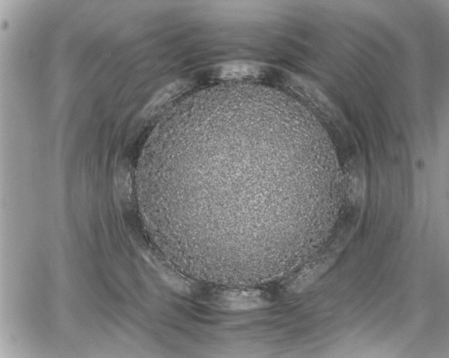 X0000067950375200604171441