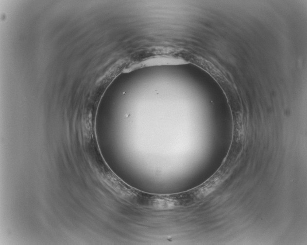 X0000067950376200604171441