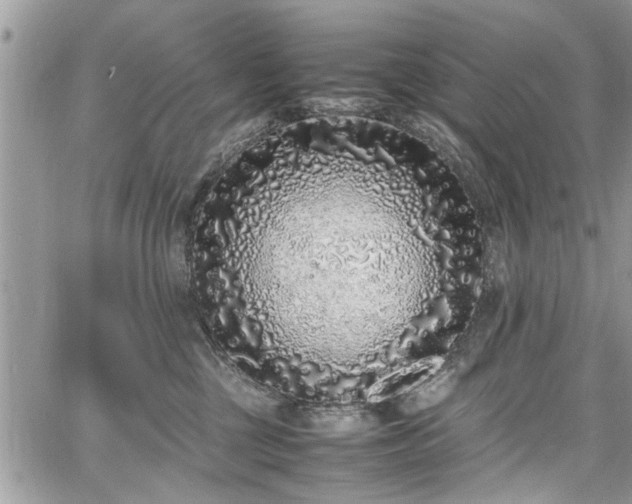 X0000067950377200604171441