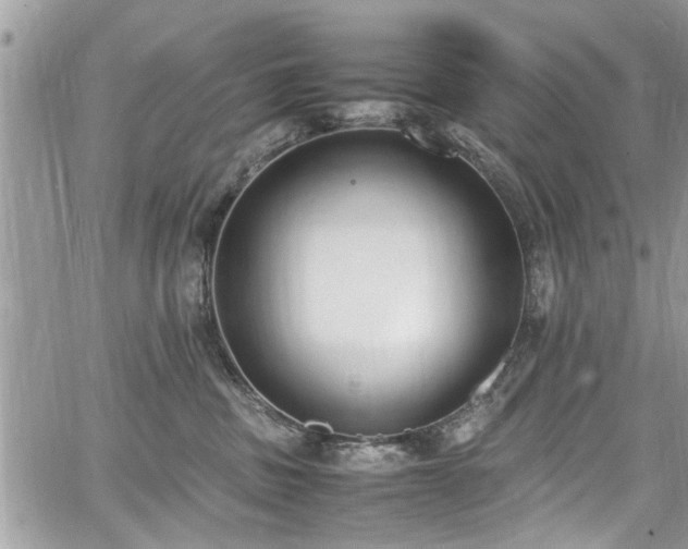 X0000067950379200604171441