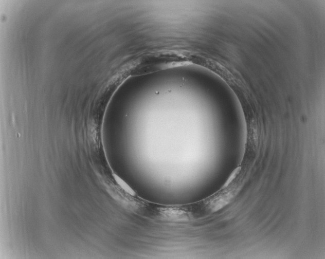 X0000067950380200604171441