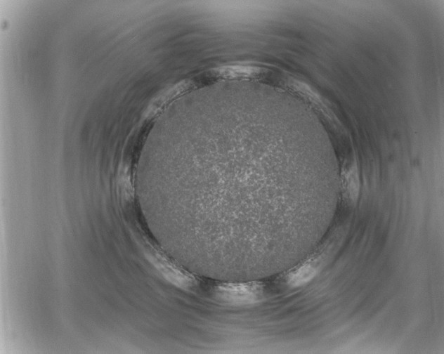 X0000067950381200604171441