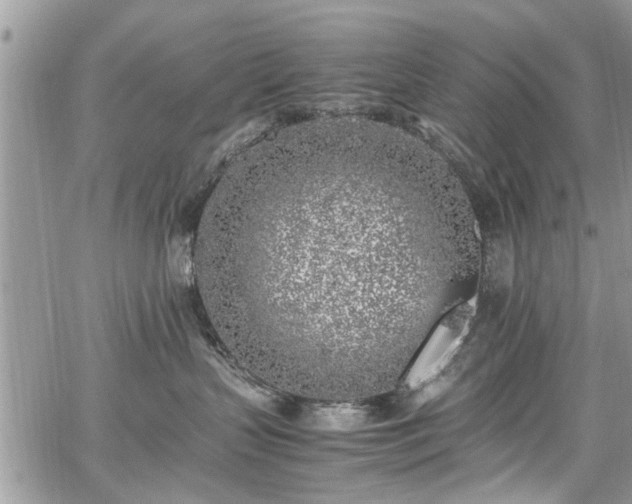 X0000067950383200604171441