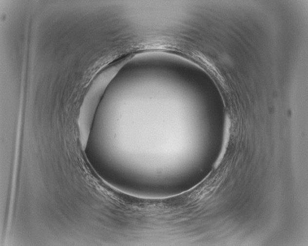 X0000067950385200604171441