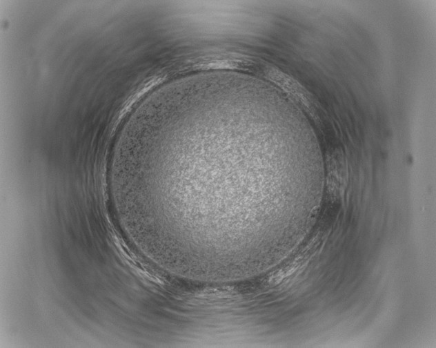 X0000067950386200604171441