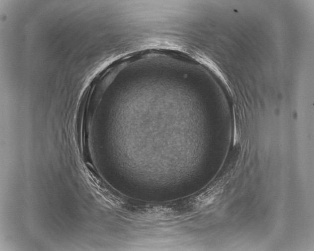 X0000067950387200604171441