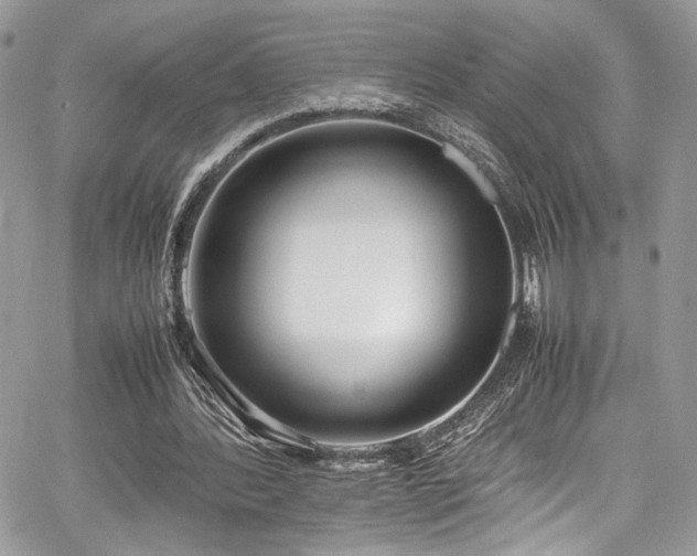 X0000067950388200604171441