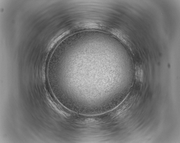 X0000067950390200604171441