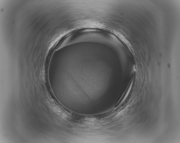 X0000067950391200604171441