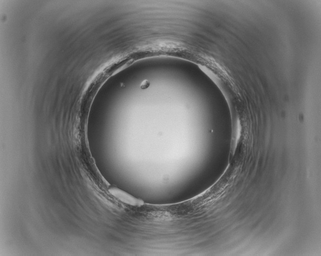 X0000067950392200604171441