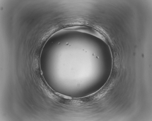 X0000067950393200604171441