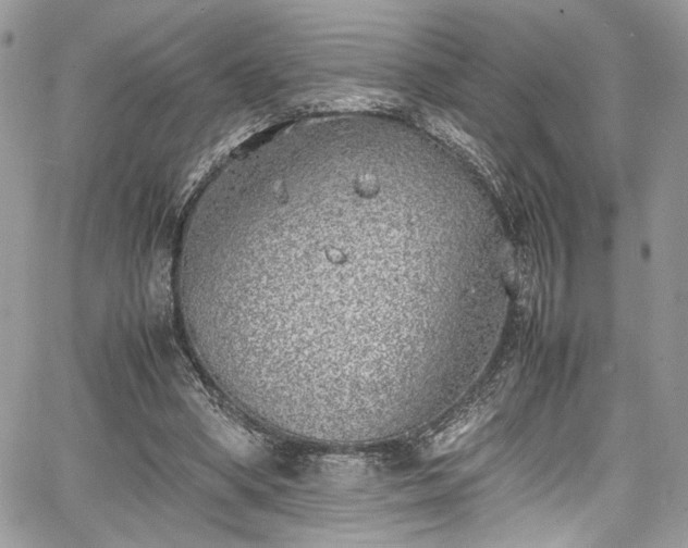 X0000067950394200604171441