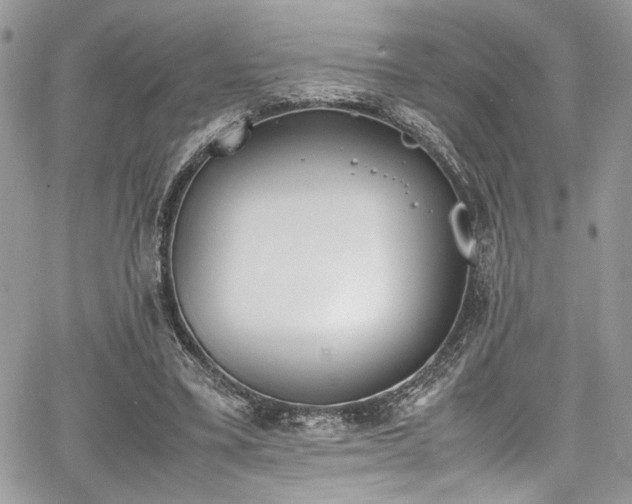 X0000067950395200604171441