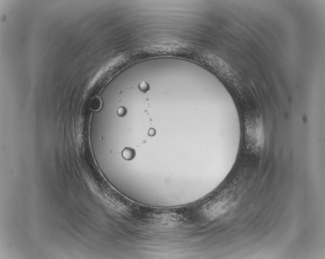 X0000067950396200604171440