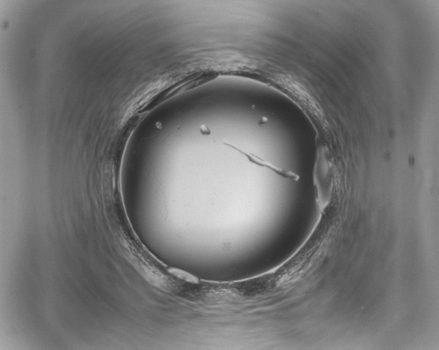 X0000067950397200604171440