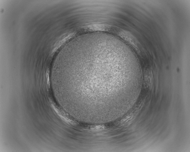 X0000067950398200604171440