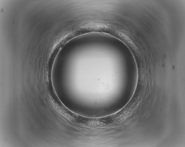 X0000067950399200604171440