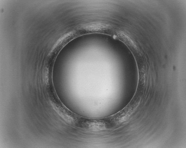 X0000067950400200604171440