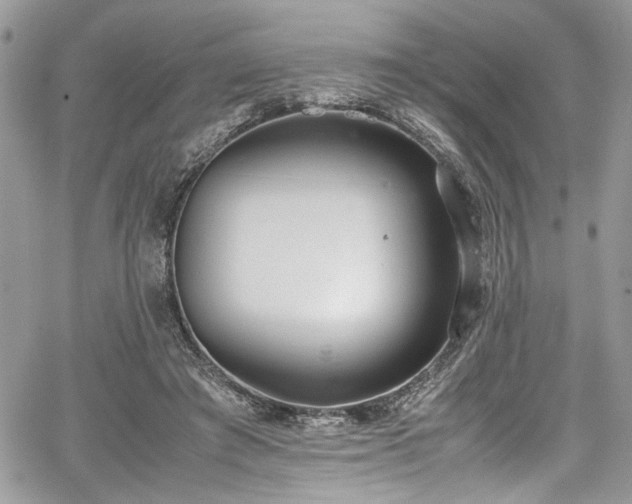 X0000067950401200604171440